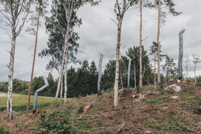 https://www.wildbits.ee Photo: Fotomorgaana